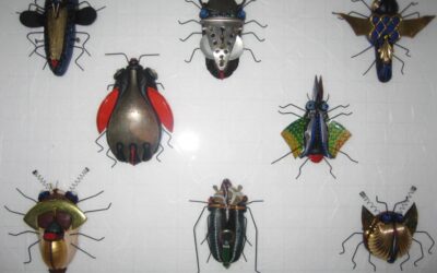 Insect Art